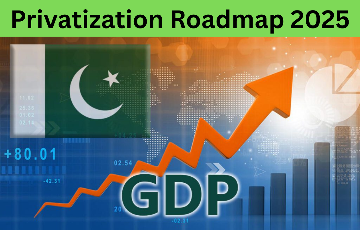 Read more about the article Privatization Roadmap 2025 – A Powerful Path to Economic Transformation