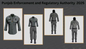 Read more about the article Punjab Enforcement and Regulatory Authority (PERA) 2025 – A Powerful and Comprehensive Analysis