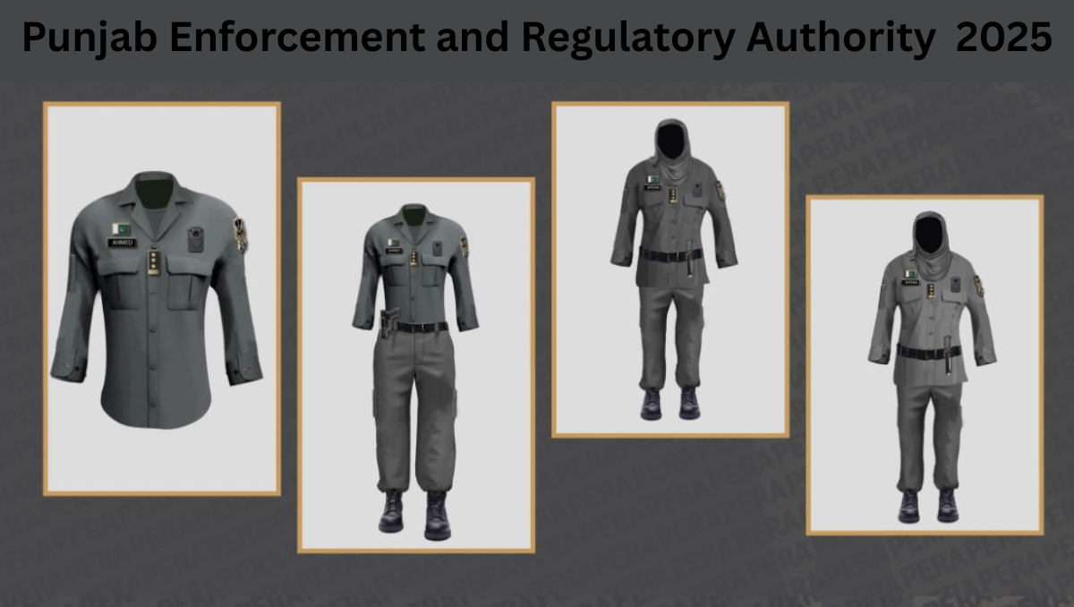 Read more about the article Punjab Enforcement and Regulatory Authority (PERA) 2025 – A Powerful and Comprehensive Analysis