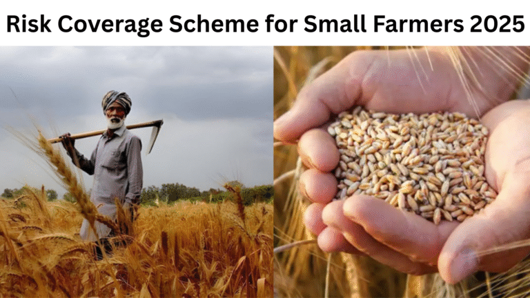 Risk Coverage Scheme for Small Farmers 2025
